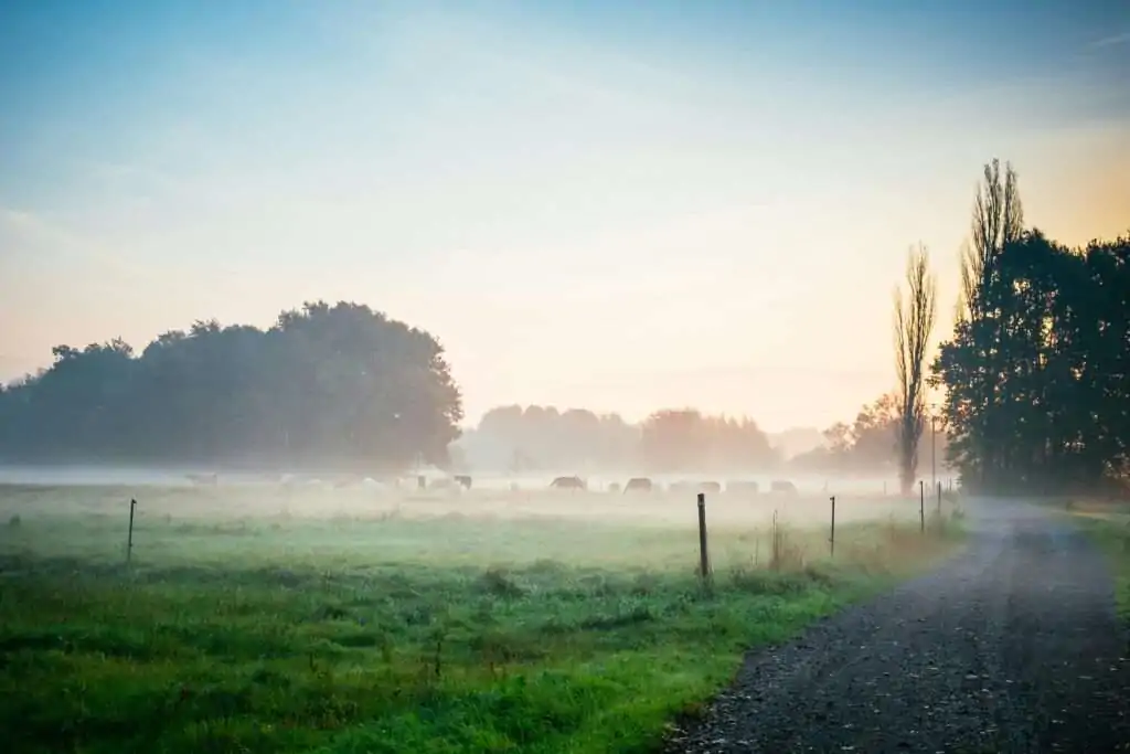 Benefits of Waking Up Early in Morning
