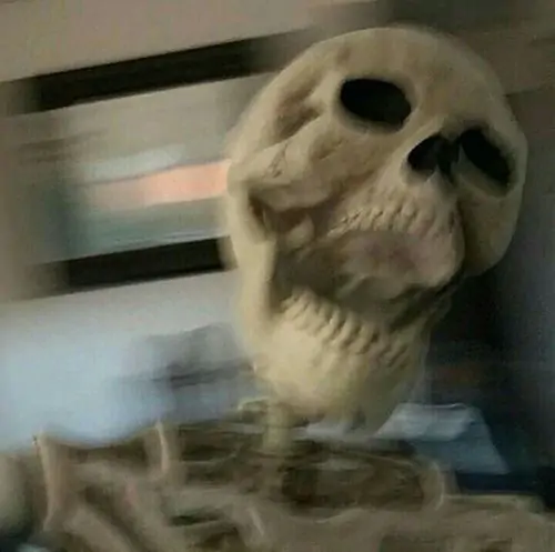 Skeleton meme pfp