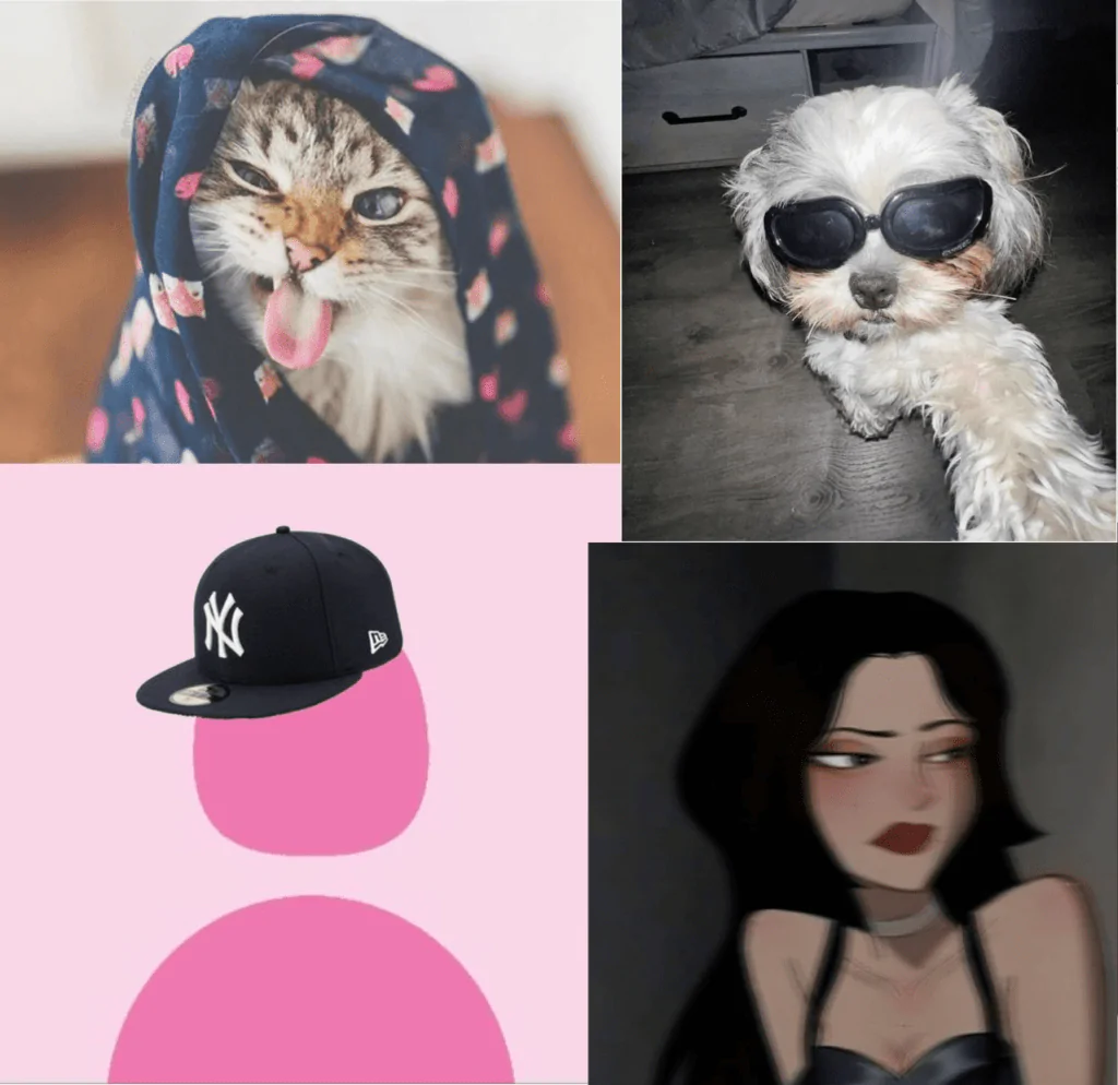 pfp for TikTok, Instagram, and Discord to make you laugh