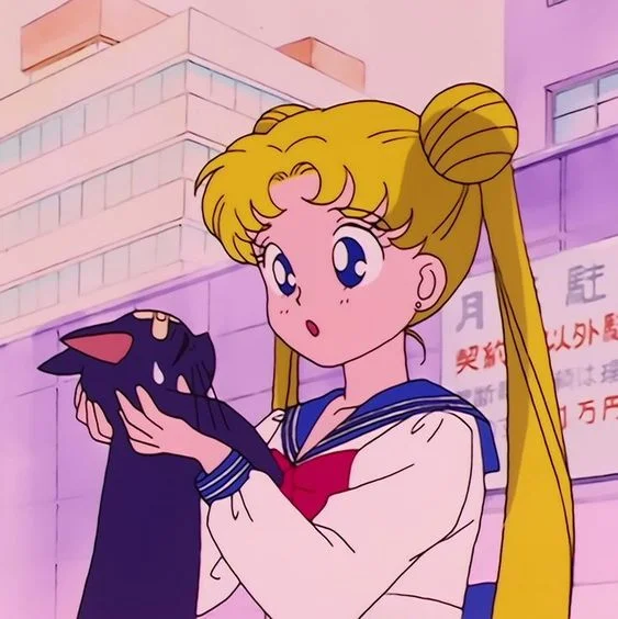 Sailor Moon profile picture for tiktok