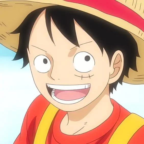 Goofy expression from Monkey D. Luffy