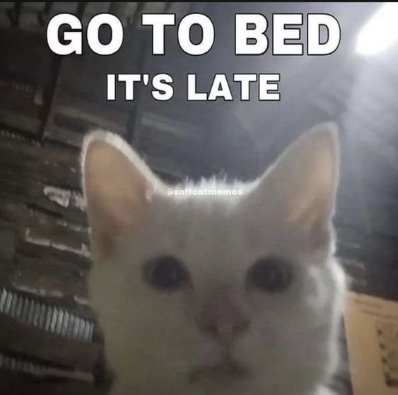 Go to bed funny cat meme