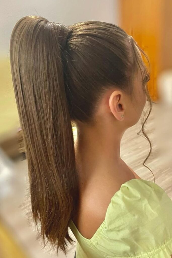 Sleek High Ponytail hairstyle