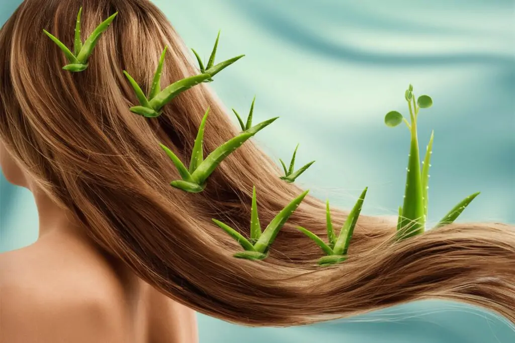 Aloe Vera for Hair Growth