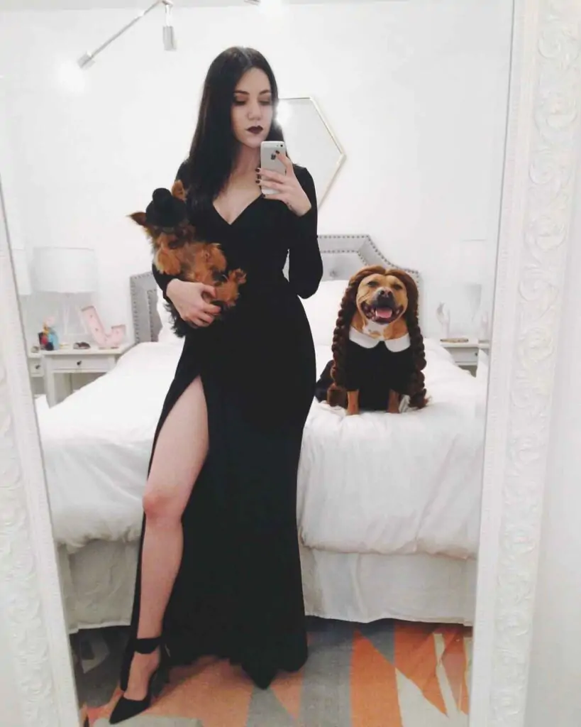 Gothic Glamour Halloween Look. The image shows a person in a long, elegant black dress with a high slit, holding a small dog in a black hat. Another dog, dressed in a costume with long braids and a white collar, sits on the bed.