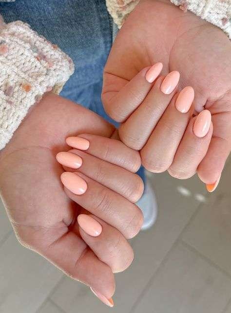 This sophisticated look is widely known as a Peach French Tip Manicure on an Almond shape. In 2026, this specific minimalist style is often called "American French" or "Vanilla Nails" when the contrast between the base and tip is soft and natural rather than stark white.