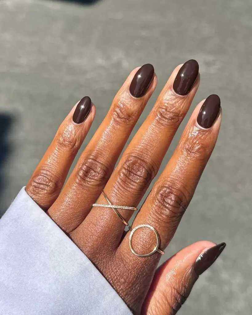 Chocolate Brown Nails