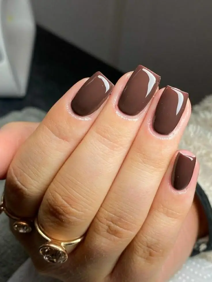 Chocolate brown nails are pretty much the unofficial color of fall every single year, and 2026 is no exception. This shade works on almost every skin tone, from fair to deep, and pairs beautifully with gold jewelry, camel coats, and cozy knitwear.