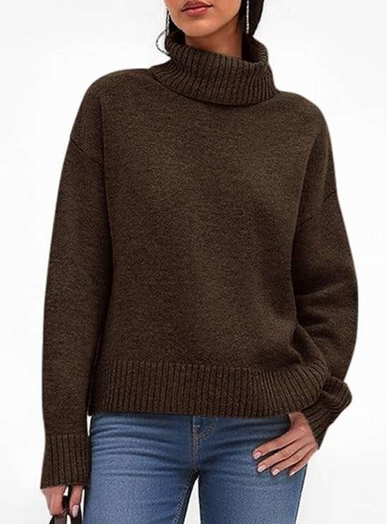 Turtleneck Long Sleeve Knit Sweater