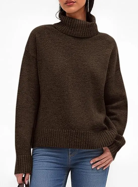 Turtleneck Long Sleeve Knit Sweater